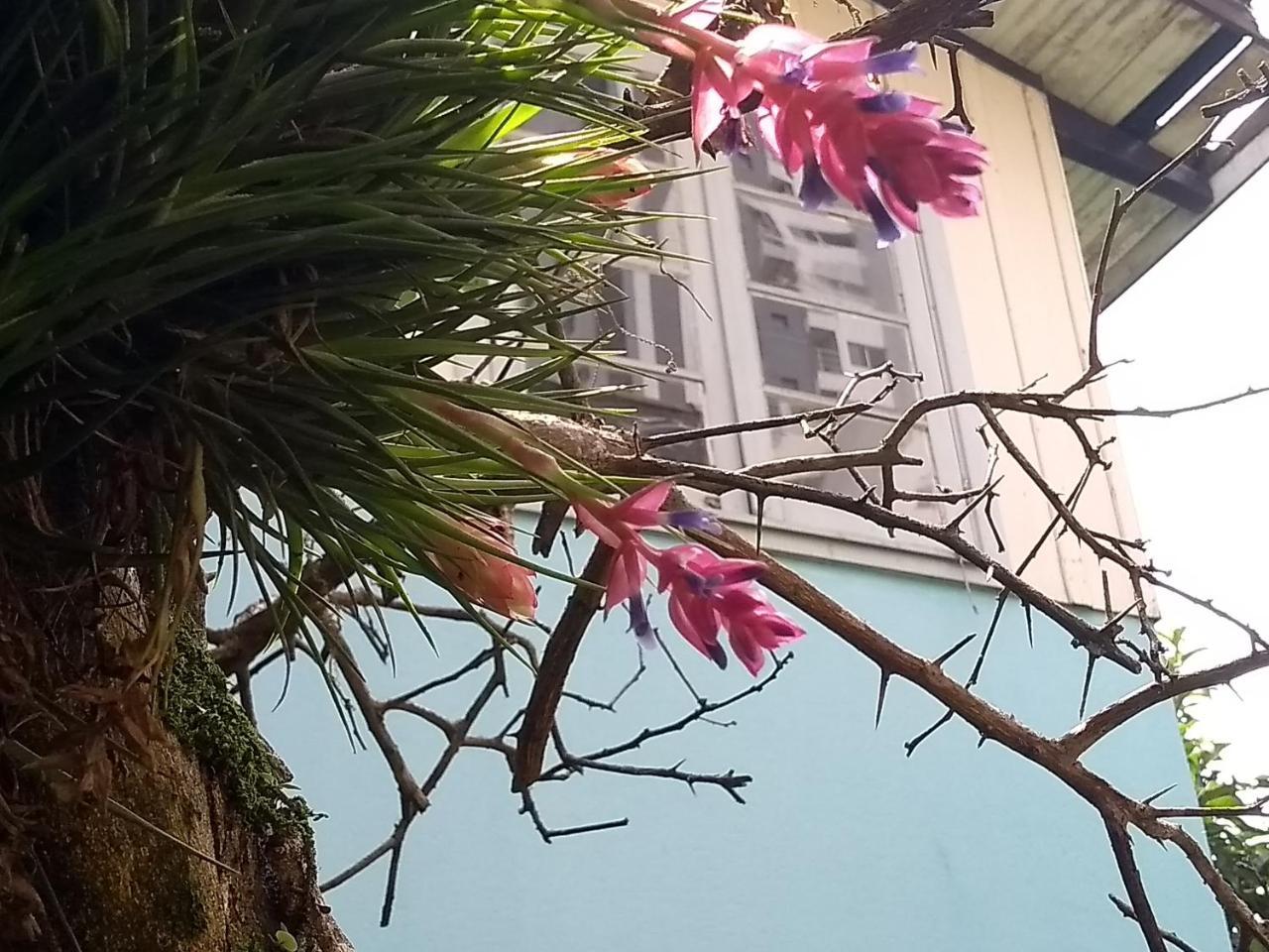 Holistico Casa De Las Abuelas *